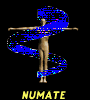 Enter NuMATE